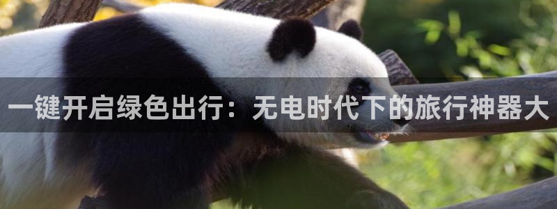 hjacdf海角论坛：一键开启绿色出行：