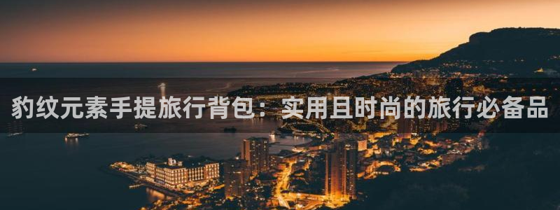 海角社区防：豹纹元素手提旅行背包：实用且