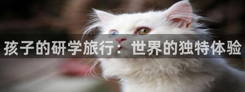 海角社区在线观看：孩子的研学旅行：世界的